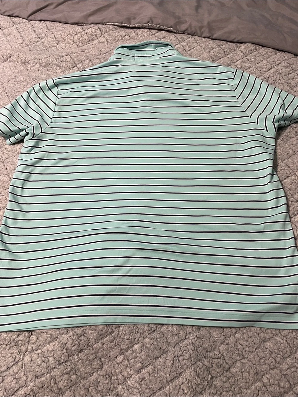 Ralph Lauren Mint Green Polo with Navy Stripes